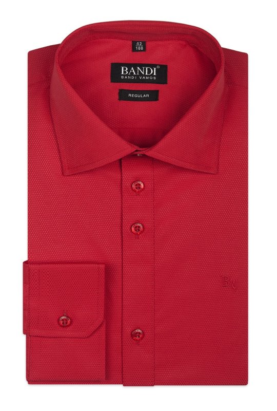 Pánská košile BANDI, model REGULAR Arastelo