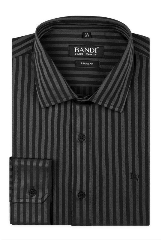 Pánská košile BANDI, model REGULAR Tadino