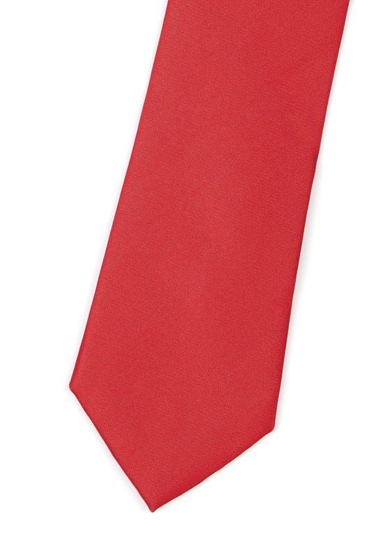 Pánská kravata BANDI, model CLASS 161