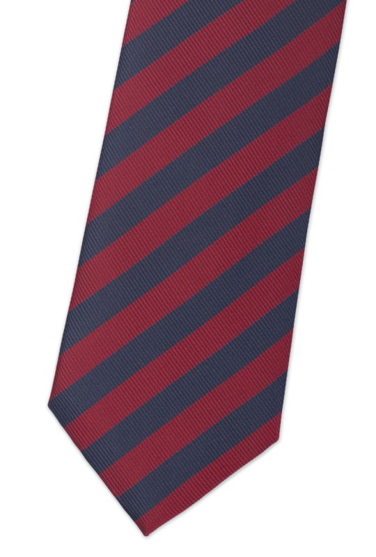 Pánská kravata BANDI, model CLASS 227