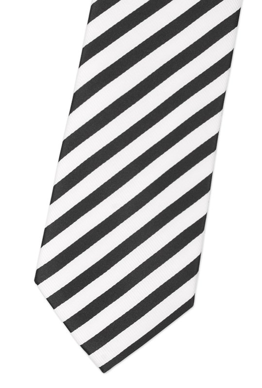 Pánská kravata BANDI, model CLASS 224