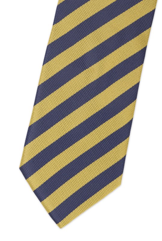 Pánská kravata BANDI, model CLASS 223