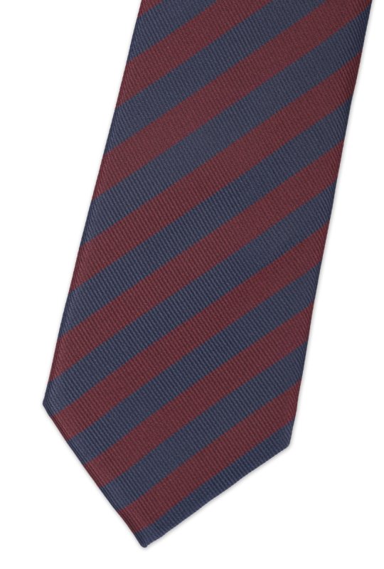 Pánská kravata BANDI, model CLASS 221