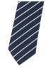 Pánská kravata BANDI, model LUX 201