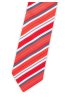 Pánská kravata BANDI, model LUX 259