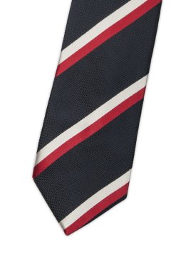 Pánská kravata BANDI, model LUX 249