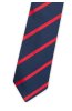 Pánská kravata BANDI, model LUX 247