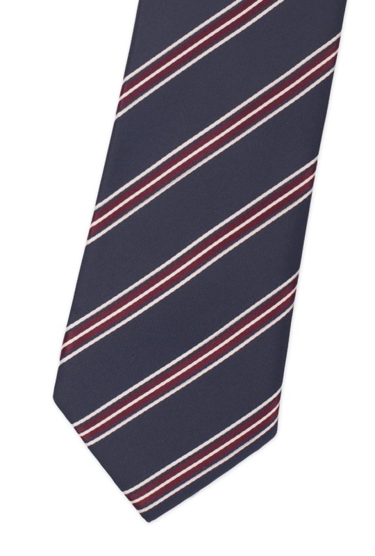 Pánská kravata BANDI, model LUX 301