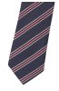 Pánská kravata BANDI, model LUX 301