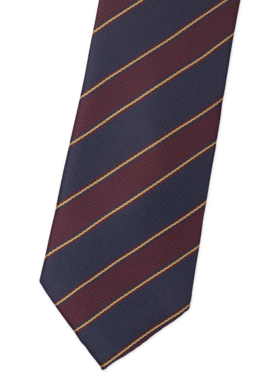 Pánská kravata BANDI, model LUX 297
