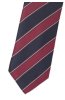 Pánská kravata BANDI, model LUX 295
