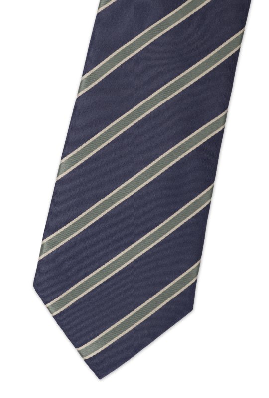 Pánská kravata BANDI, model LUX 310