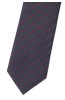 Pánská kravata BANDI, model LUX 308
