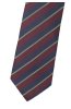 Pánská kravata BANDI, model LUX 307