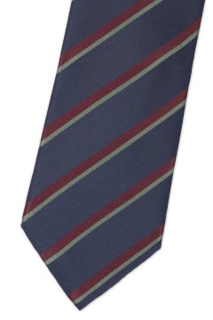 Pánská kravata BANDI, model LUX 305