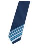 Pánská kravata BANDI, model LUX slim 116