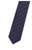 Pánská kravata BANDI, model LUX slim 171