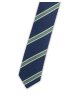 Pánská kravata BANDI, model LUX slim 169