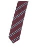 Pánská kravata BANDI, model LUX slim 168