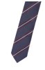 Pánská kravata BANDI, model LUX slim 167
