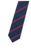 Pánská kravata BANDI, model LUX slim 81