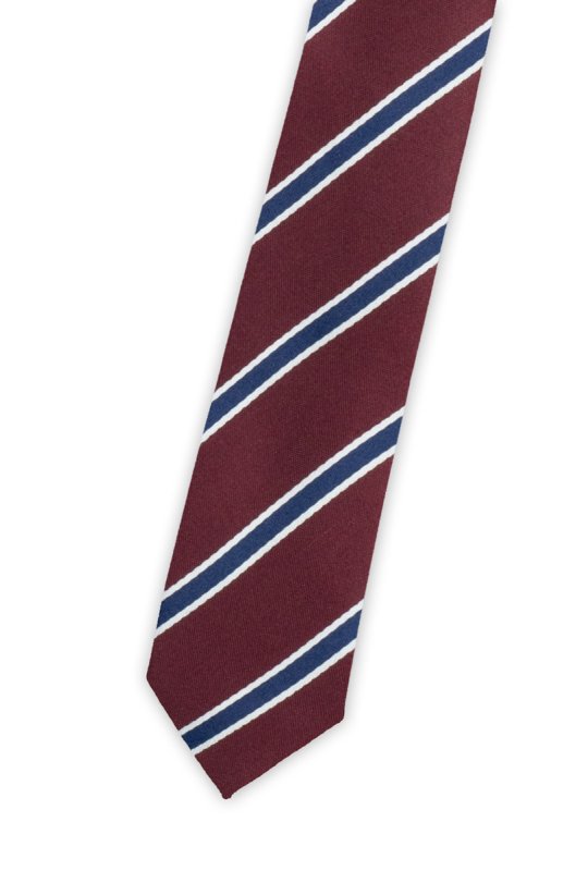 Pánská kravata BANDI, model ELIO slim