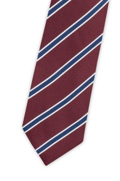 Pánská kravata BANDI, model ELIO