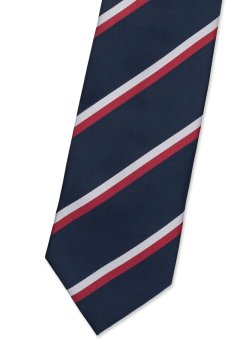 Pánská kravata BANDI, model REPUBLICA 01
