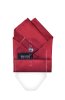 Lesklý červený poskládaný kapesníček do saka Special s výztuží