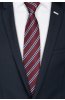 Pánská kravata BANDI, model ELIO