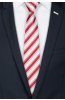 Pánská kravata BANDI, model CLASS 112