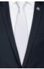 Pánská kravata BANDI, model CLASS 186