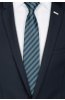 Pánská kravata BANDI, model CLASS 219