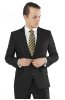 Pánská kravata BANDI, model CLASS 223