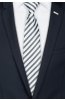 Pánská kravata BANDI, model CLASS 225