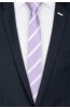 Pánská kravata BANDI, model CLASS slim 29