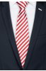 Pánská kravata BANDI, model LUX 192