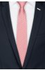 Pánská kravata BANDI, model LUX 197
