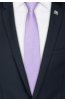Pánská kravata BANDI, model LUX 218