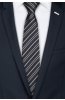 Pánská kravata BANDI, model LUX 231