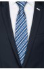 Pánská kravata BANDI, model LUX 232
