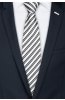 Pánská kravata BANDI, model LUX 233