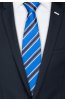 Pánská kravata BANDI, model LUX 236