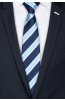 Pánská kravata BANDI, model LUX 237
