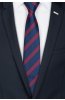 Pánská kravata BANDI, model LUX 239