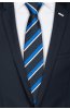 Pánská kravata BANDI, model LUX 241
