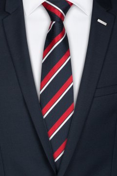 Pánská kravata BANDI, model LUX 242