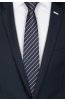 Pánská kravata BANDI, model LUX 243