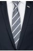 Pánská kravata BANDI, model LUX 244