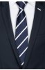 Pánská kravata BANDI, model LUX 245